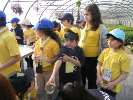 20140322 - Lobitos na Quinta Pedagogica 